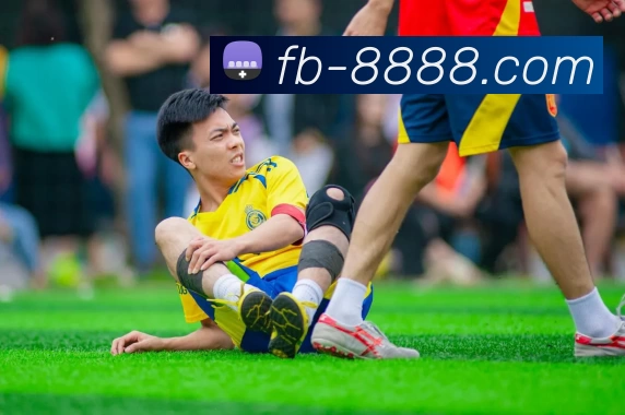 FB体育品牌故事